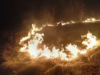 Policjanci ugasili pożar traw, zanim dosięgnął garaży w Rejowcu Fabrycznym